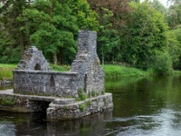 Cong Abbey